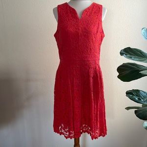DONNA RICCO LACE DRESS 14
